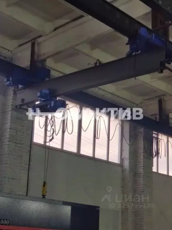 Производственное помещение в Новосибирская область, Колыванский район, ... - Фото 2