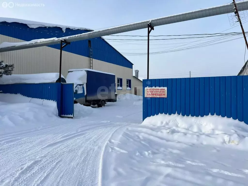 Производственное помещение (250 м) - Фото 2