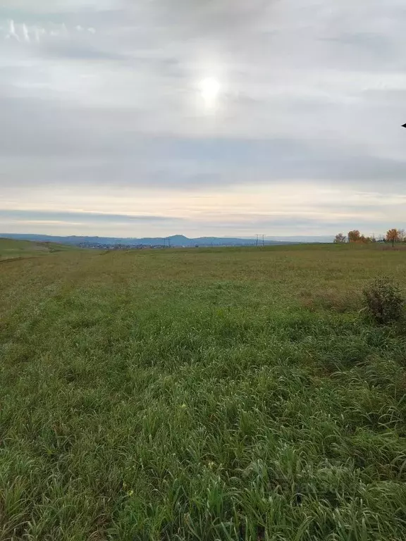 Участок в Красноярский край, Емельяновский район, Элитовский ... - Фото 0