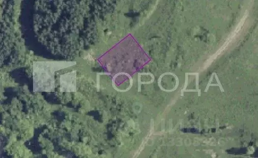 Участок в Новосибирская область, Новосибирский район, с. Раздольное ... - Фото 2