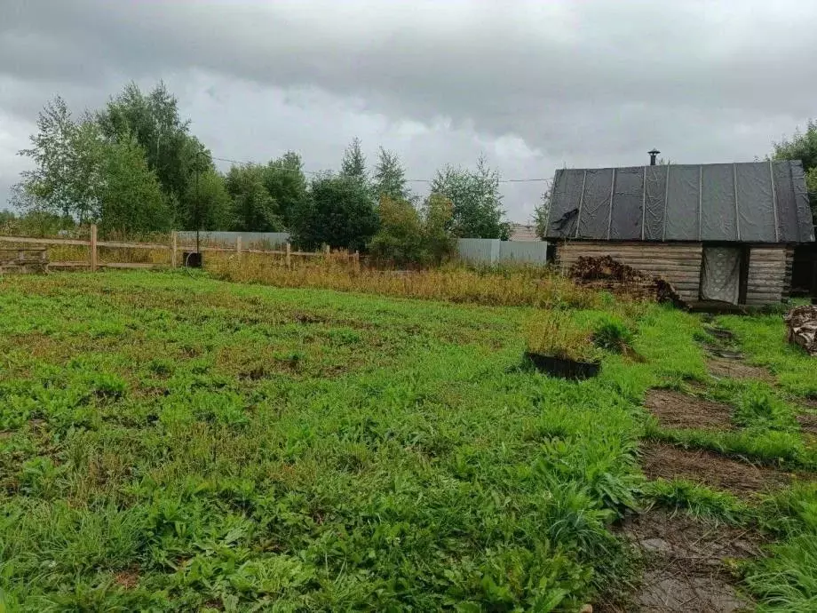 Участок в Пермский край, Березники муниципальный округ, с. Пыскор ул. ... - Фото 1