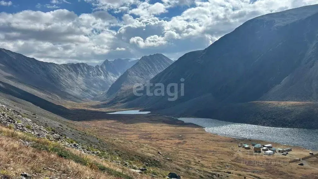 Участок в Алтай, Кош-Агачский район, с. Кокоря  (3157.3 сот.) - Фото 0