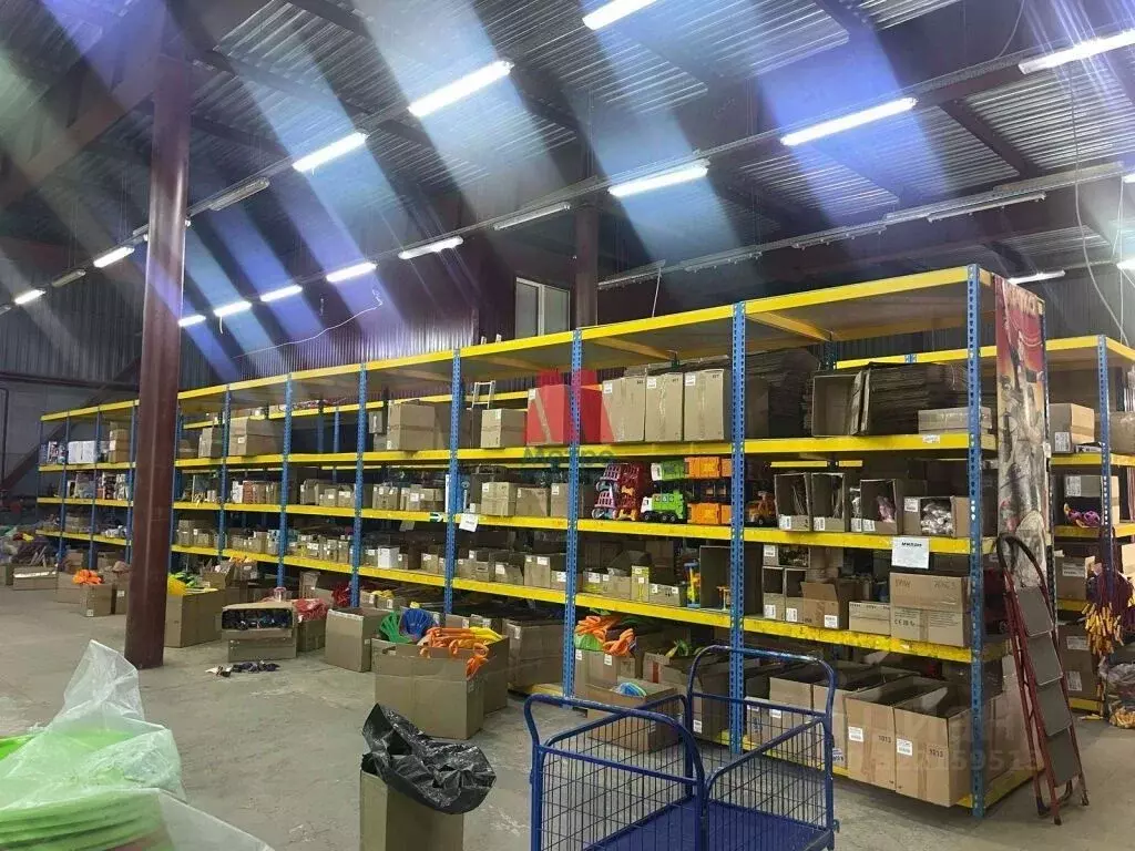 Помещение свободного назначения в Ярославская область, Ярославль ... - Фото 2