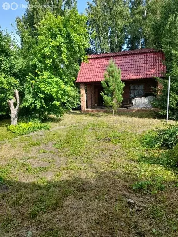 Дом в Омск, территория СОСН Станционник (59 м) - Фото 0