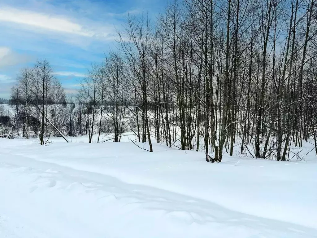 Участок в Московская область, Дмитровский муниципальный округ, Сбоево ... - Фото 1