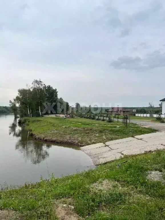 Участок в Новосибирская область, Новосибирский район, Кубовинский ... - Фото 0