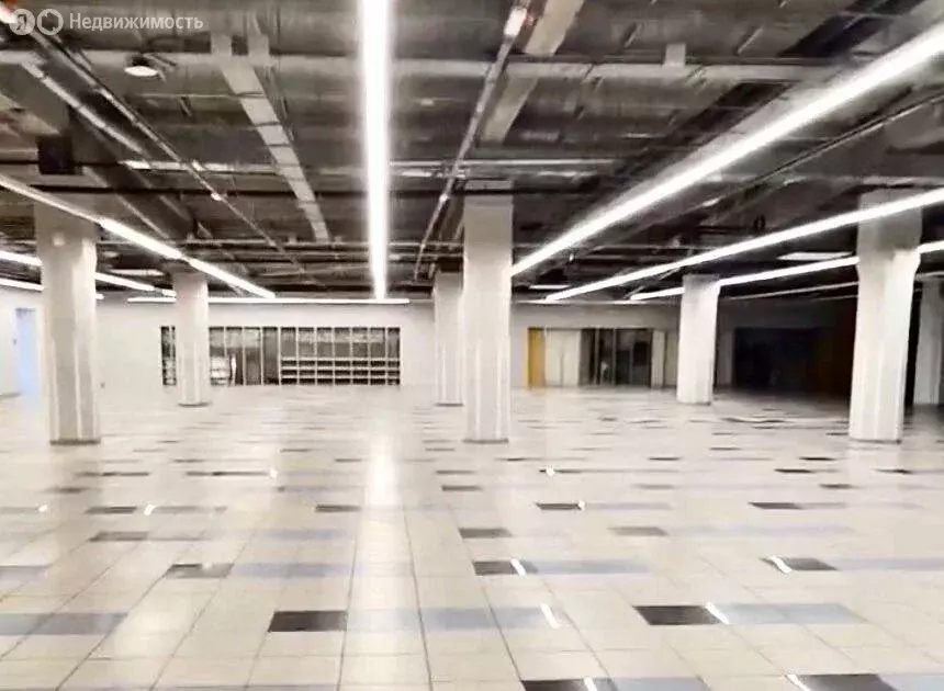 Офис (250 м) - Фото 2
