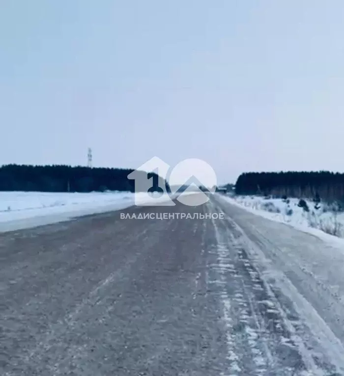 Участок в Новосибирская область, Колыванский район, Большая Семья СНТ  ... - Фото 0