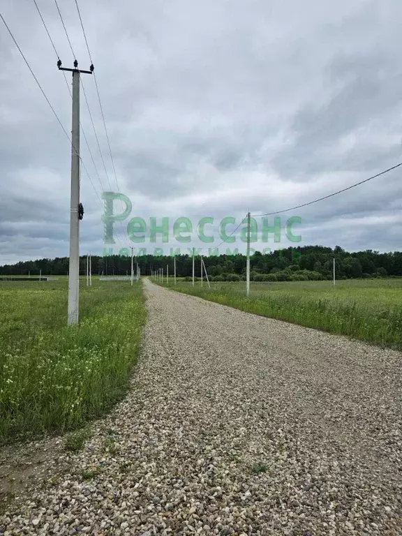 Участок в Брянская область, Брянский район, Новодарковичское с/пос, д. ... - Фото 1