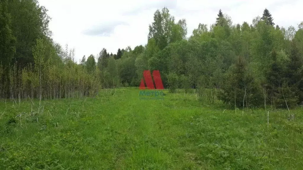 Участок в Ярославская область, Пошехонский муниципальный округ, ... - Фото 0