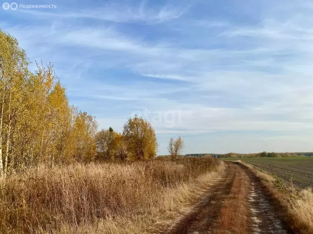 Участок в Оршанский район, Марковское сельское поселение, деревня ... - Фото 0