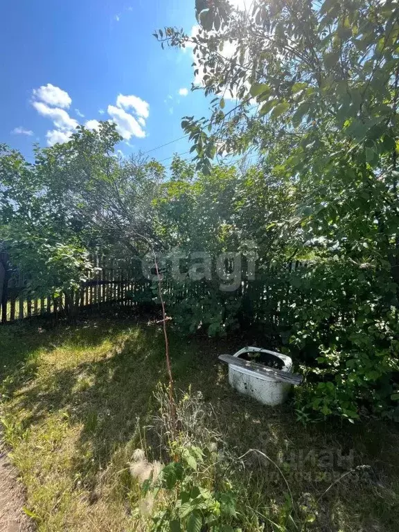 Участок в Амурская область, Благовещенский район, с. Новинка  (11.0 ... - Фото 1