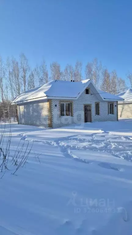Дом в Амурская область, Благовещенский район, с. Чигири ул. ... - Фото 2