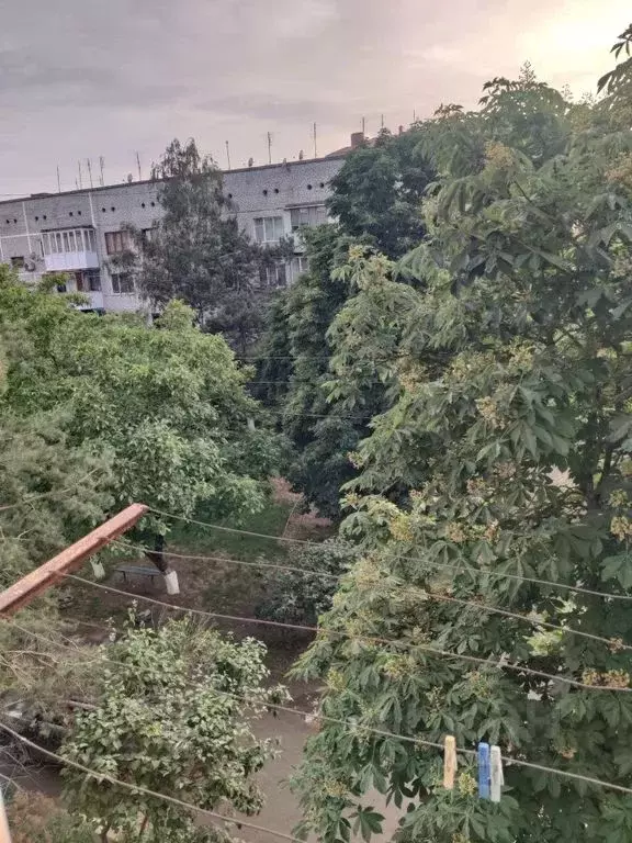 3-к кв. Краснодарский край, Абинск Республиканская ул., 3 (61.0 м) - Фото 2