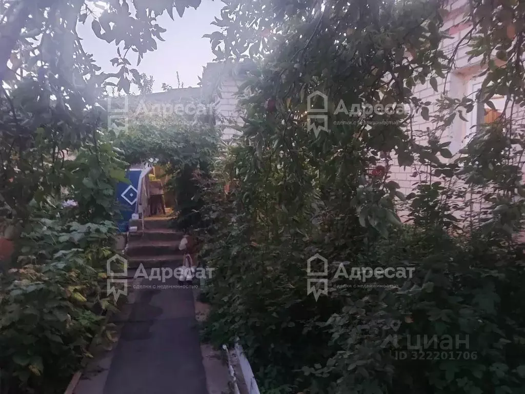 Дом в Волгоградская область, Волгоград Вешенская ул. (59 м) - Фото 1