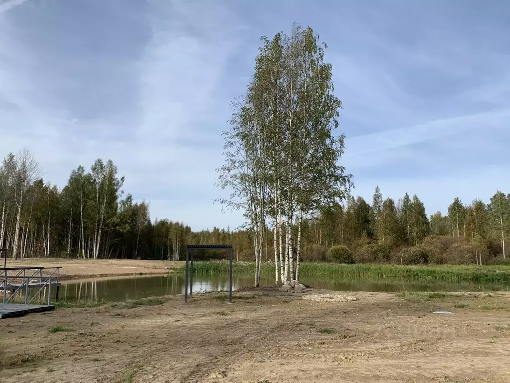 Участок в Ленинградская область, Всеволожский район, Колтушское ... - Фото 0