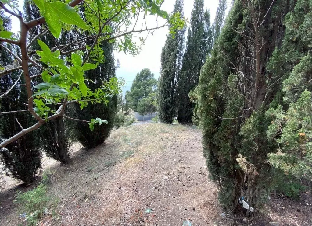 Участок в Крым, Ялта муниципальный округ, Парковое пгт  (6.0 сот.) - Фото 1