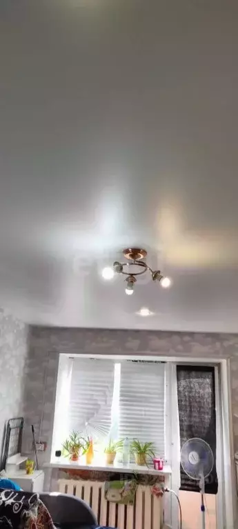 Комната Коми, Сыктывкар ул. Ленина, 80 (17.0 м) - Фото 2