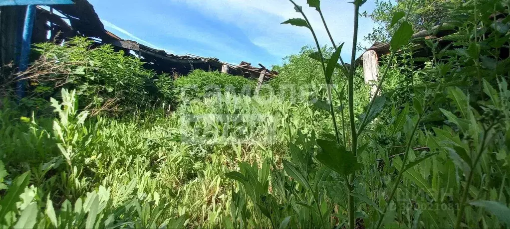 Участок в Челябинская область, с. Аргаяш ул. Степная, 26 (13.0 сот.) - Фото 1