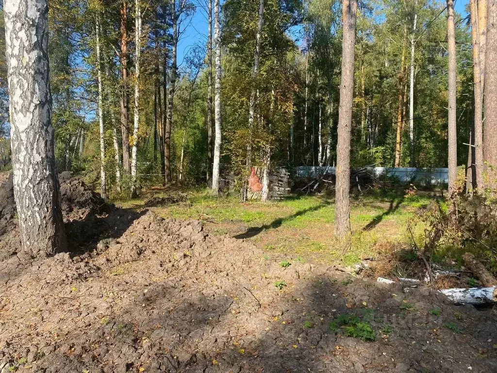 Участок в Свердловская область, Екатеринбург ИЖС Парк Тихое место кп,  ... - Фото 0