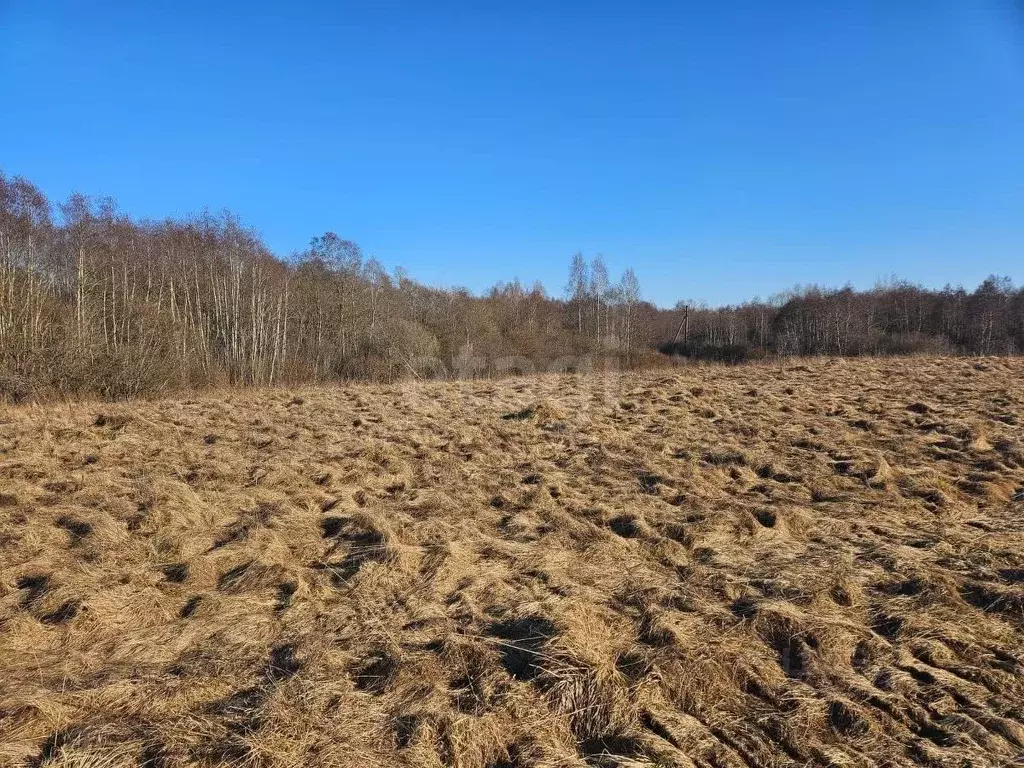 Участок в Псковская область, Псковский район, Писковичская волость, д. ... - Фото 1