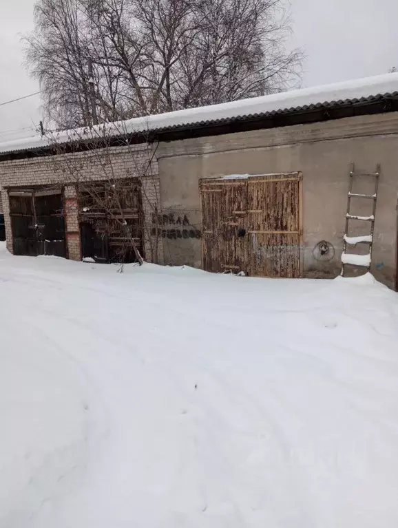 Помещение свободного назначения в Кировская область, Луза ул. Ленина, ... - Фото 1