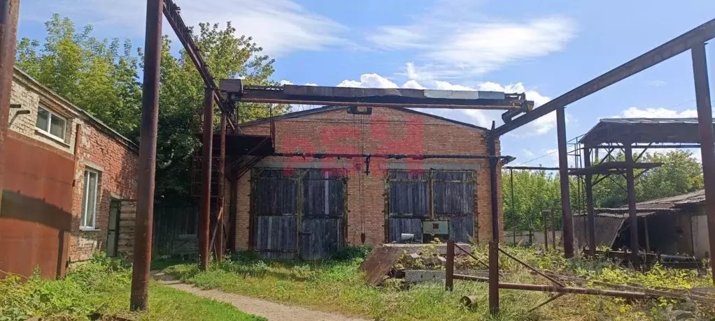 Производственное помещение в Пензенская область, с. Бессоновка ул. ... - Фото 1