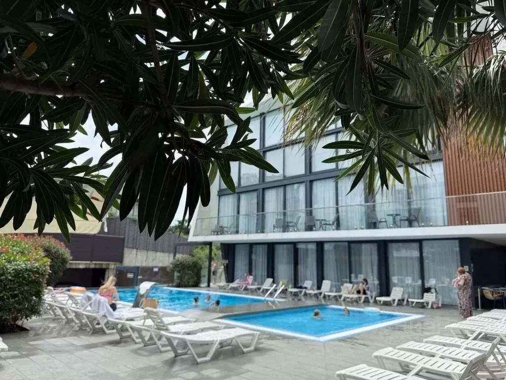 Студия Краснодарский край, Сочи Молодогвардейская ул., 2/64 (30.0 м) - Фото 2