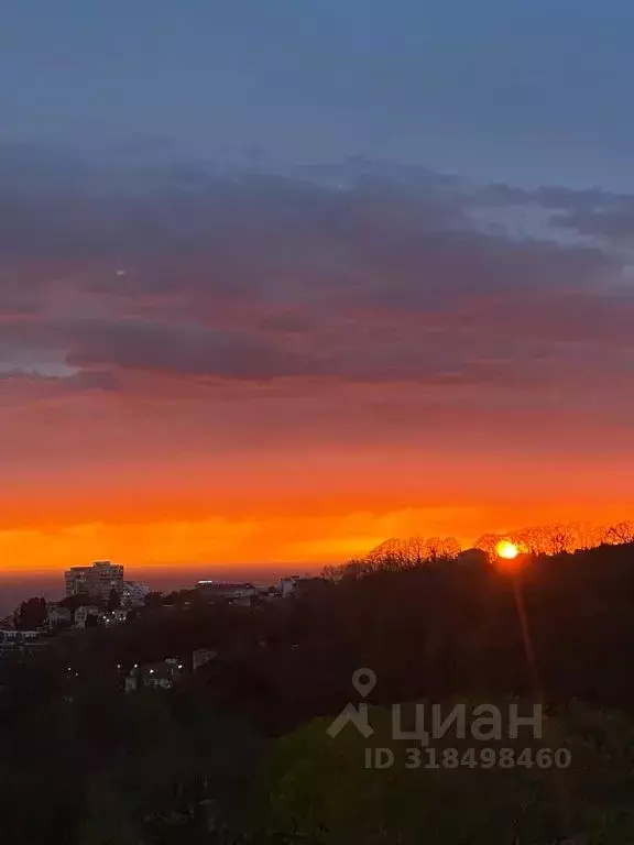 1-к кв. Краснодарский край, Сочи Бытха мкр, ул. Ясногорская, 16/8к1 ... - Фото 1