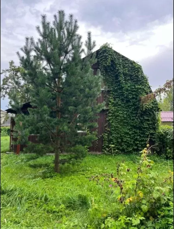 Дом в Московская область, Чехов муниципальный округ, Березка СНТ 25 ... - Фото 1