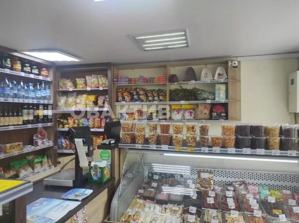 Помещение свободного назначения в Томская область, Томск Алтайская ... - Фото 2