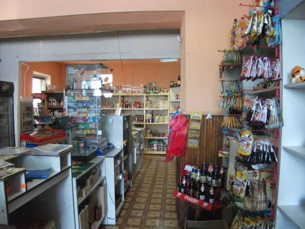 Помещение свободного назначения в Бурятия, Улан-Удэ Тальцы мкр,  (133 ... - Фото 2