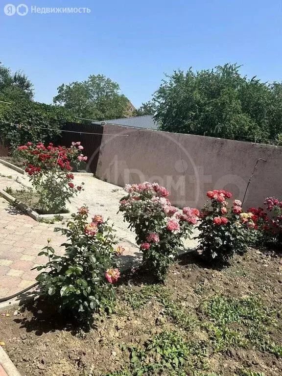 Дом в Батайск, Коммунистическая улица, 83 (130 м) - Фото 2