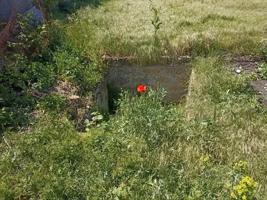 Участок в Крым, Симферополь ул. 2-я Коллективных Садов, 29 (3.0 сот.) - Фото 2