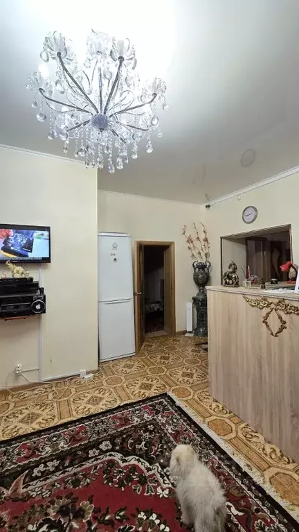 Помещение свободного назначения в Курская область, Курск ул. ... - Фото 1