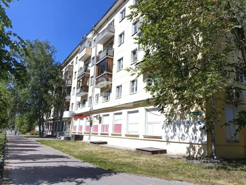 1-к кв. Нижегородская область, Нижний Новгород Юбилейный бул., 3 (31.3 ... - Фото 1