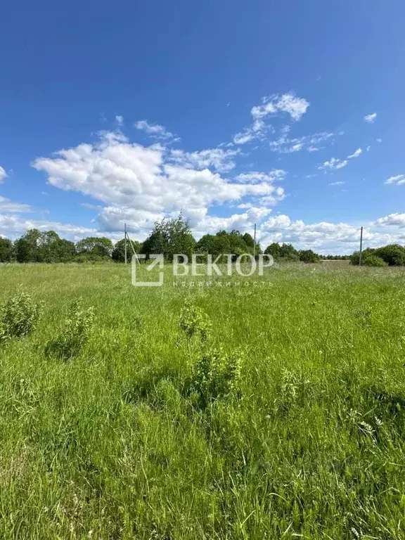 Участок в Костромская область, Кострома ул. Шарьинская (10.0 сот.) - Фото 0