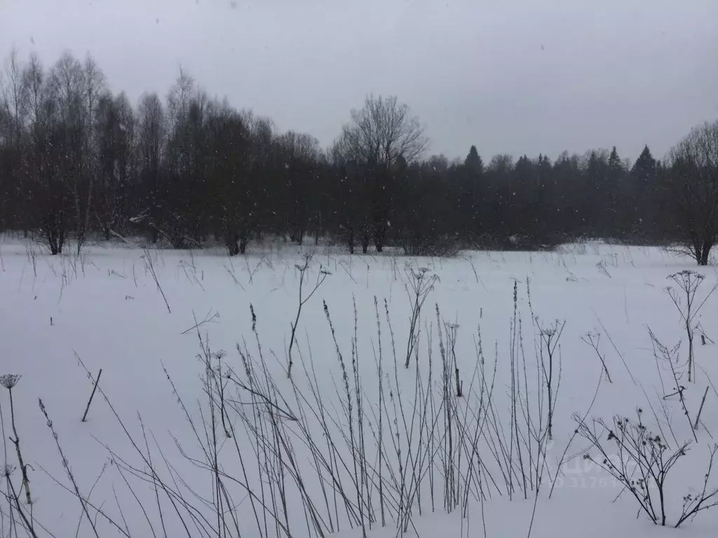 Участок в Московская область, Сергиево-Посадский городской округ, с. ... - Фото 1
