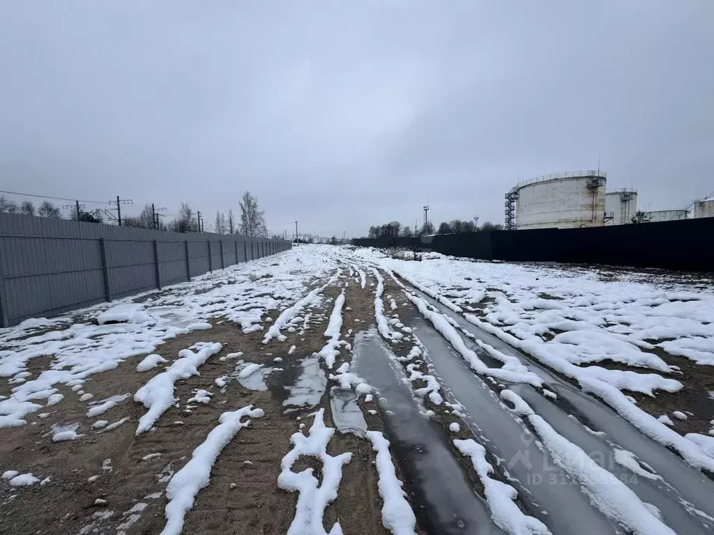 Участок в Московская область, Рузский городской округ, пос. Дорохово ... - Фото 0