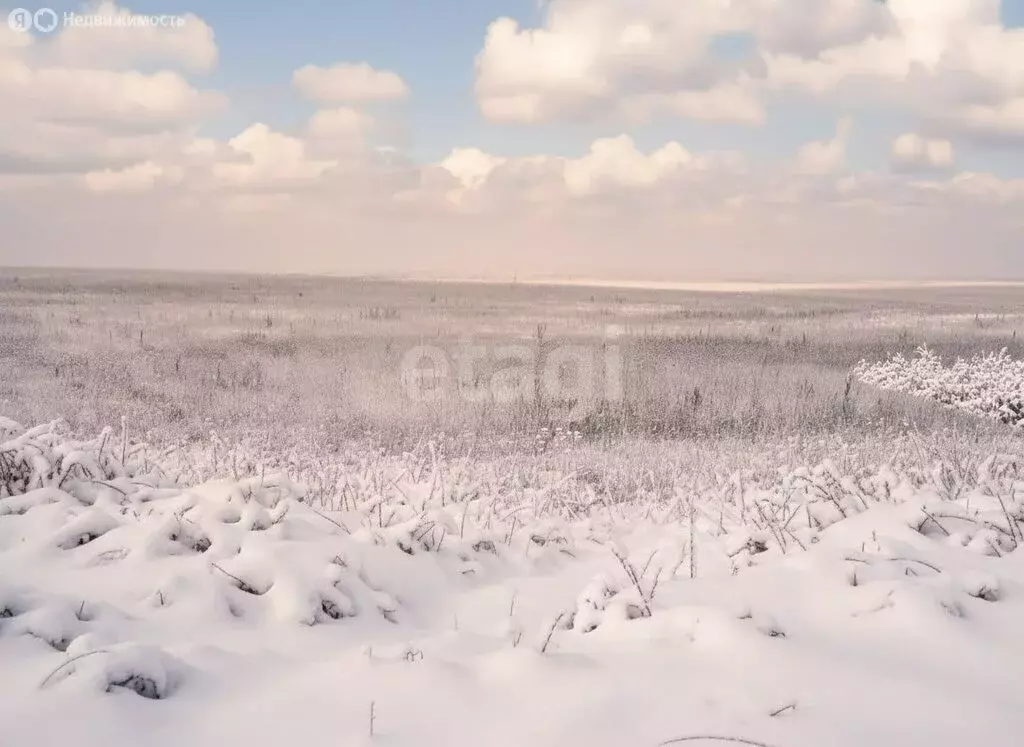 Участок в городской посёлок Берёзовка, Финская улица (6 м) - Фото 2