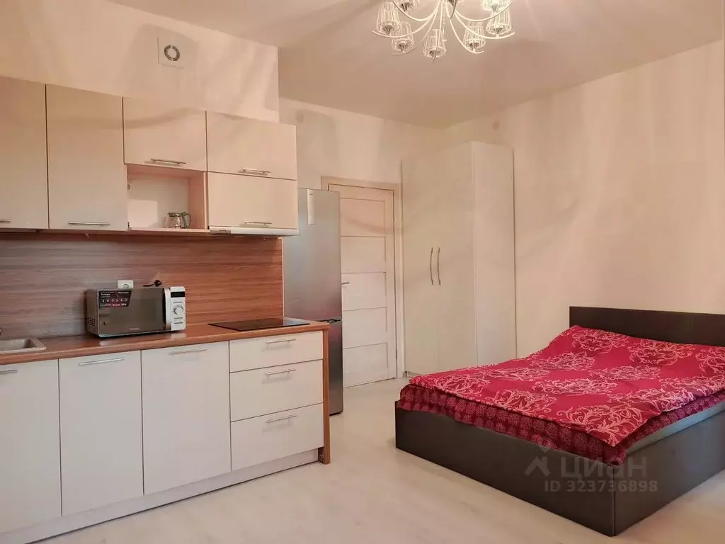 Студия Санкт-Петербург ул. Струве, 18 (24.0 м) - Фото 1