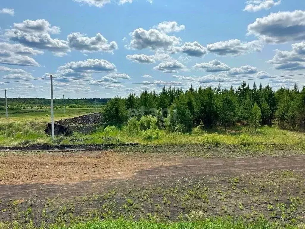 Участок в Свердловская область, Слободо-Туринский район, ... - Фото 2