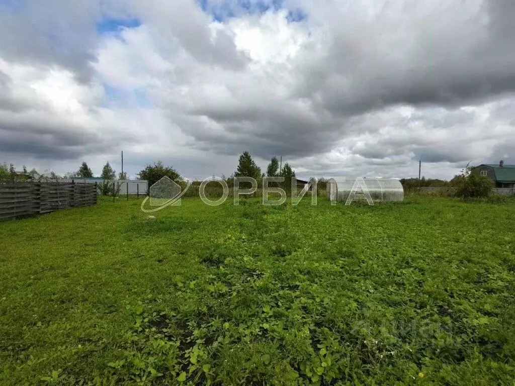 Участок в Тюменская область, Тюменский муниципальный округ, ... - Фото 1