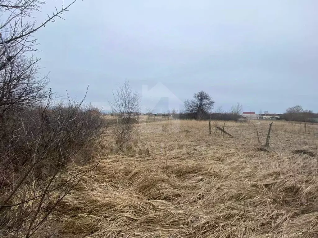 Участок в Воронежская область, Рамонский район, Комсомольское с/пос, ... - Фото 2