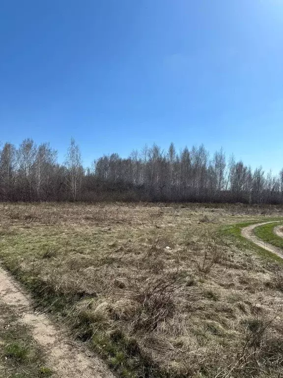 Участок в Омская область, Омск Восток СНТ, аллея 1-я Садовая (9.0 ... - Фото 0