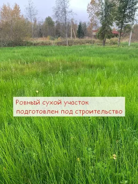 Участок 13,2 сот. (СНТ, ДНП) - Фото 1