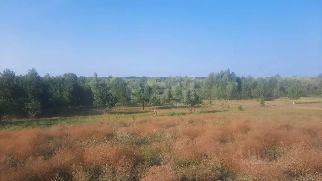 Участок в Саратовская область, Балашовский район, Большемеликское ... - Фото 1