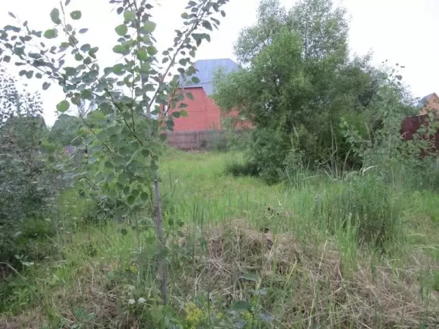Продается участок в пос. Шереметьевский - Фото 1