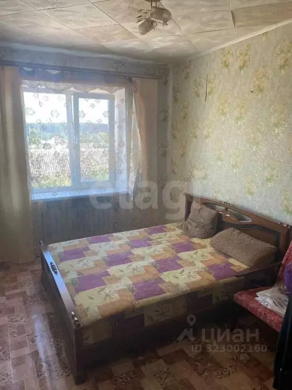 3-к кв. Мордовия, Краснослободский район, с. Старое Синдрово ... - Фото 2