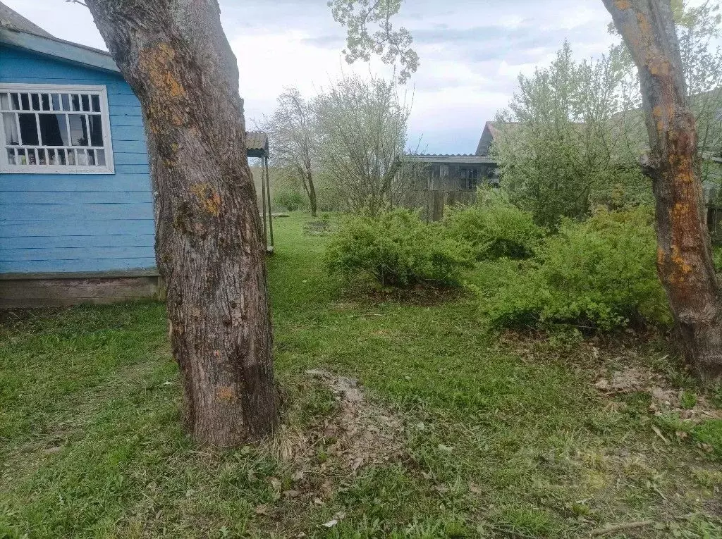 Дом в Вологодская область, д. Бугрино 2 (50 м) - Фото 1